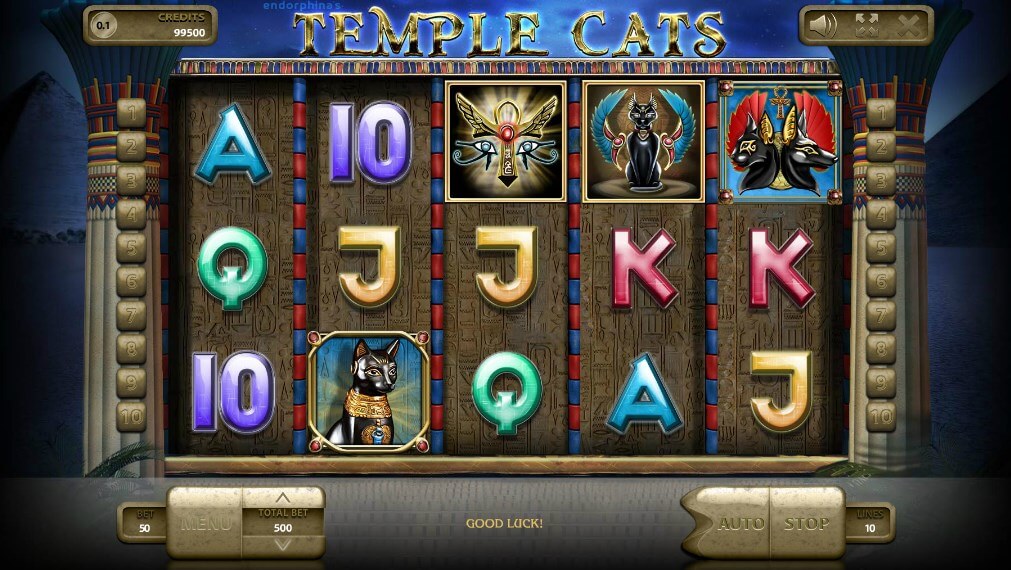 Temple cats